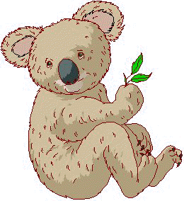 koala3.jpg (21300 bytes)